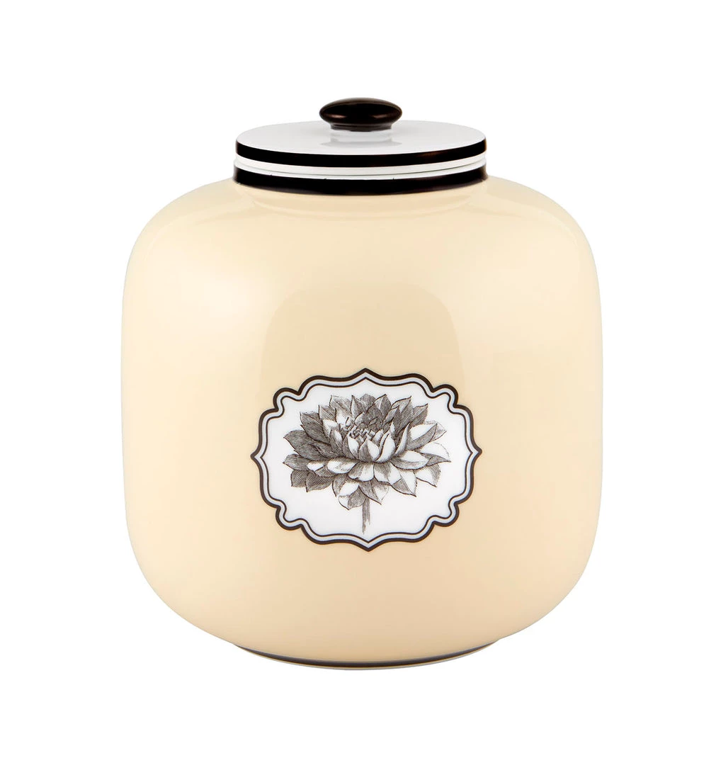 Trendy Living Herbariae Timor Box Decorative Vista Alegre 1 Trendy Living Herbariae Timor Box Decorative Vista Alegre