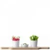 Trendy Living Bowls Paddle Dip Set & Oak Paddle