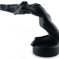 Trendy Living Lalique Chrysis Paperweight Black